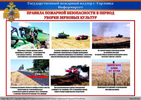Памятки пожарной безопасности сухостой Памятки пожарной безопасности сухостой.